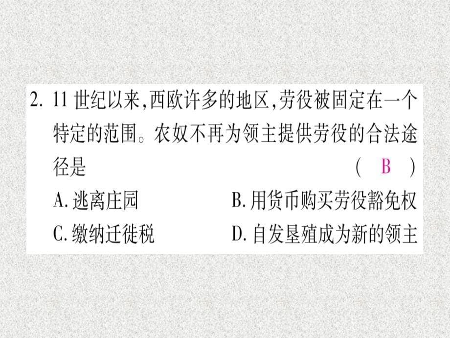 九年级历史上册第5单元步入近代第13课西欧经济和社会的发展习题课件新人教版20181114329_第5页