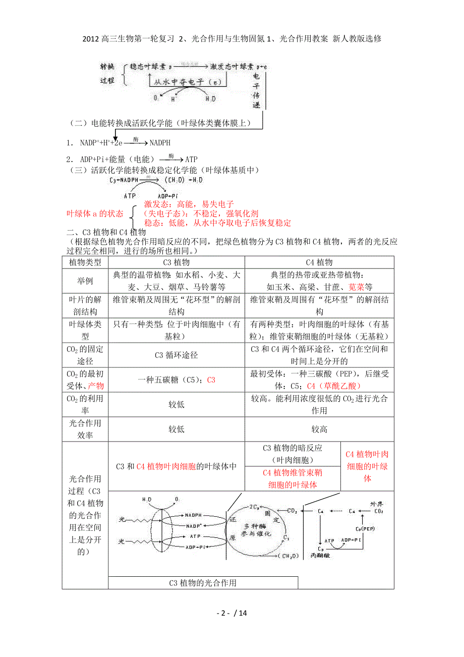 高三生物第一轮复习 2、光合作用与生物固氮1、光合作用教案 新人教选修_第2页