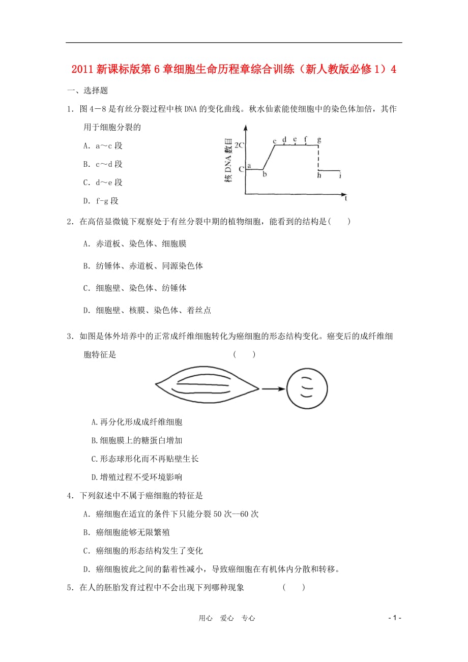 高中生物 第6章细胞生命历程章综合训练4 新人教必修1_第1页