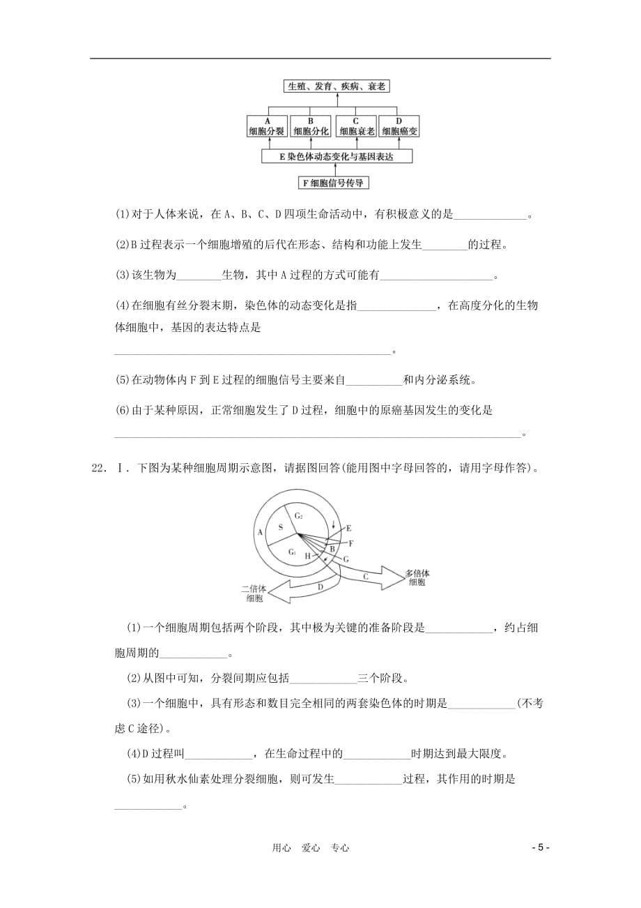 高中生物 第6章细胞生命历程章综合训练4 新人教必修1_第5页