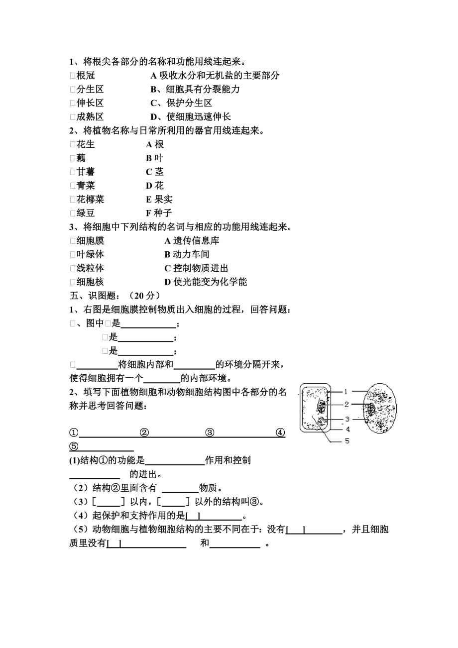 人教版七年级上生物第二单元测试题-(最新汇编)_第4页