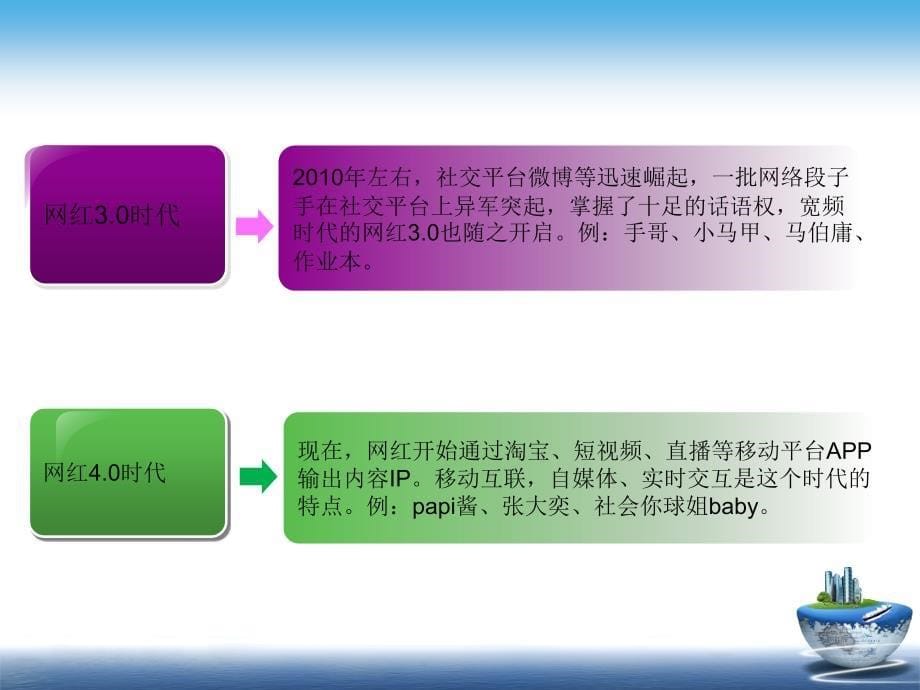 网红项目计划书-_第5页