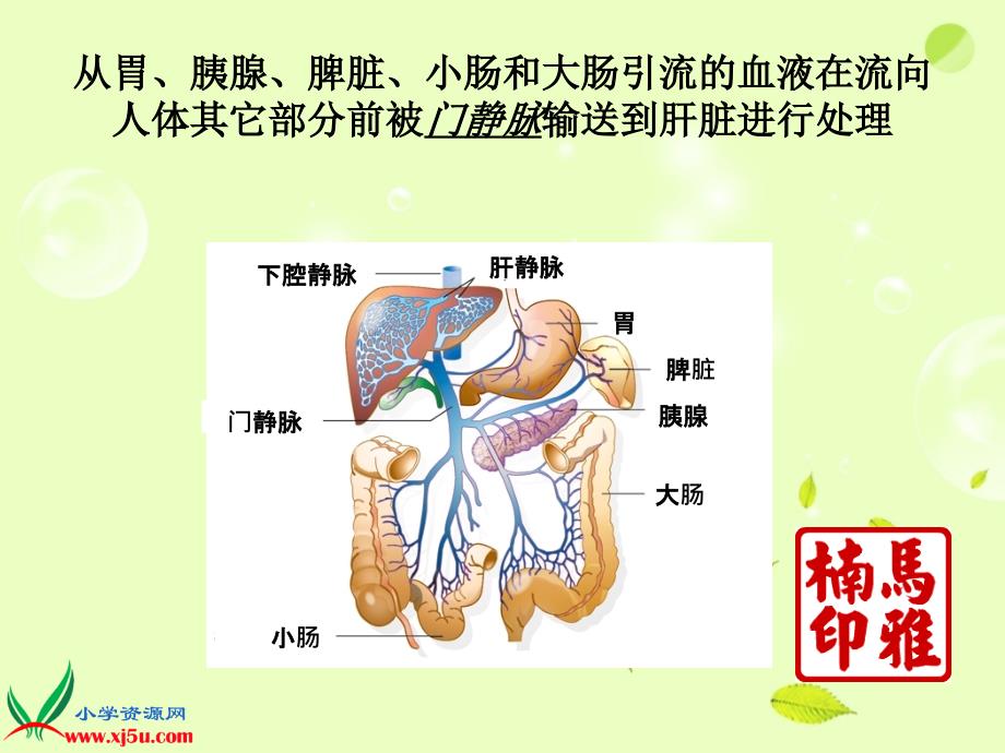 常见肝病用药指导PPT_第4页