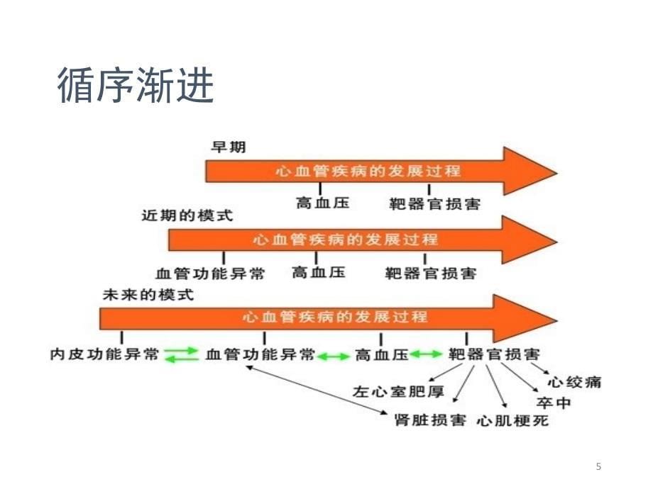 高血压机理及用药原则（课堂PPT）_第5页