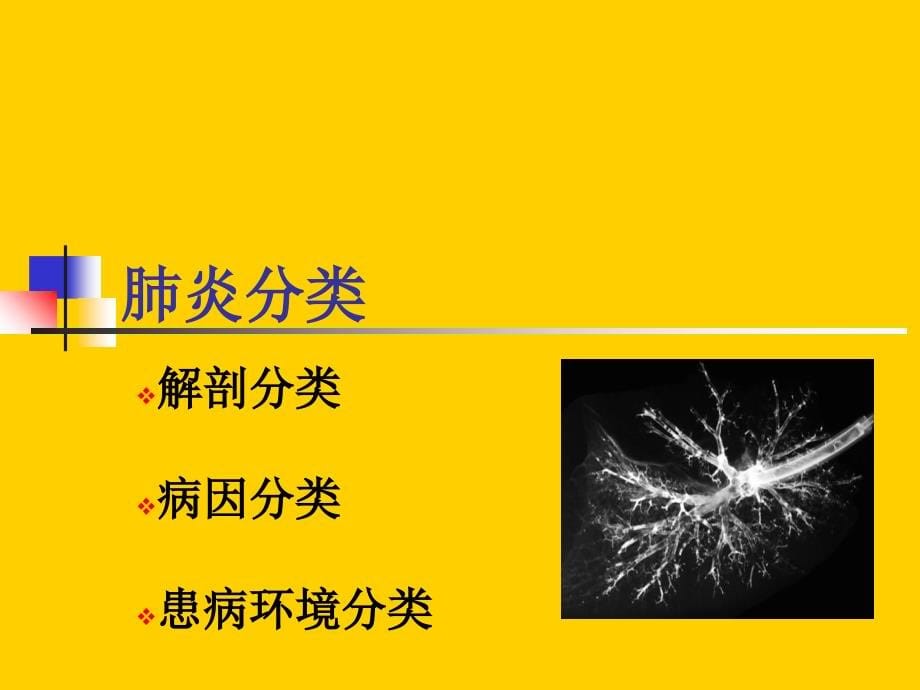 2018年肺部感染疾病-文档资料课件_第5页