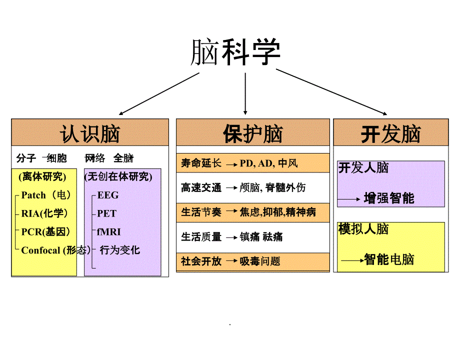 脑科学过去、现在和未来ppt课件_第4页