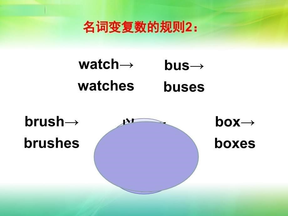 名词1单复数规则和不规则变化PPT_第5页