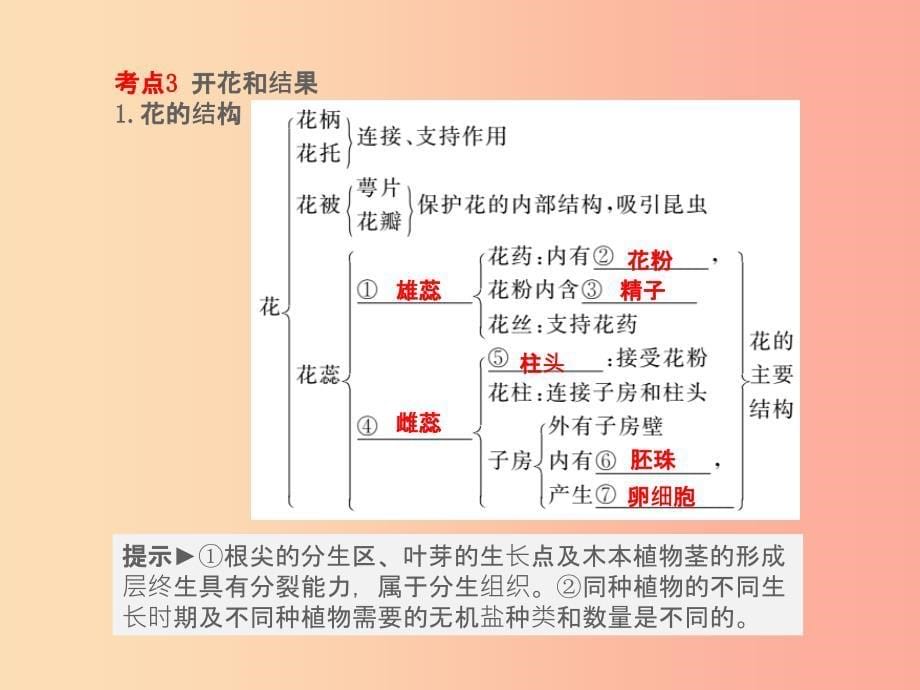 （聊城专版）山东省201X年中考生物总复习 第三单元 生物圈中的绿色植物 第二章 被子植物的一生课件_第5页