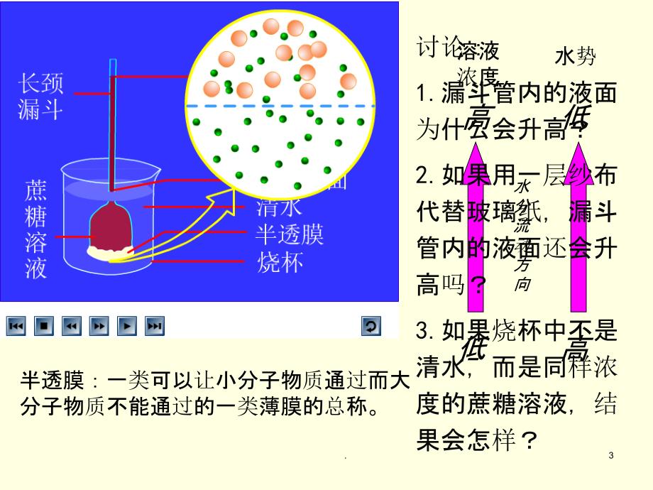 高一生物-物质跨膜运输的实例-1ppt课件_第3页