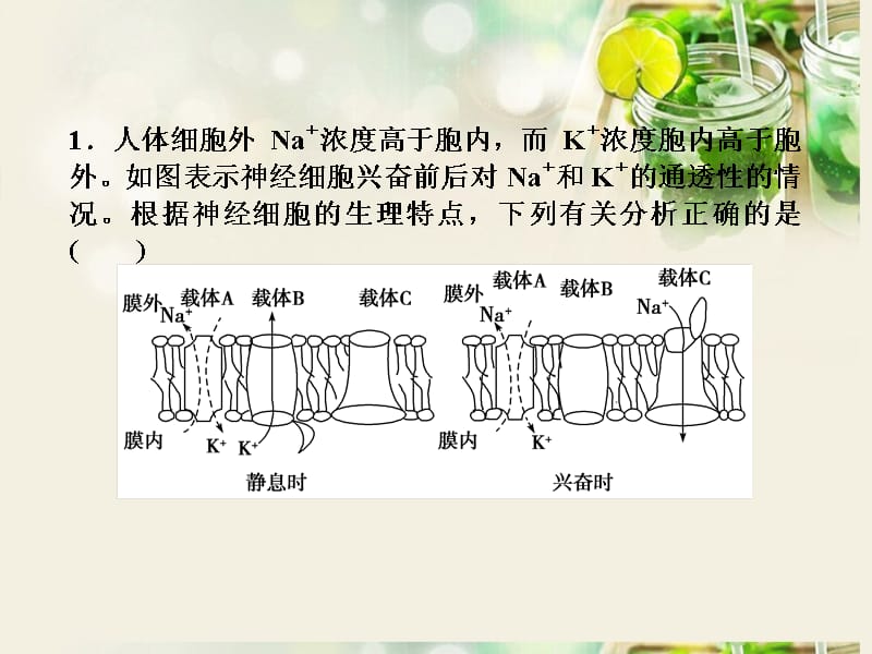 【优化方案】高考生物一轮复习 热点集训 专题五 神经调节课件 新人教版_第2页