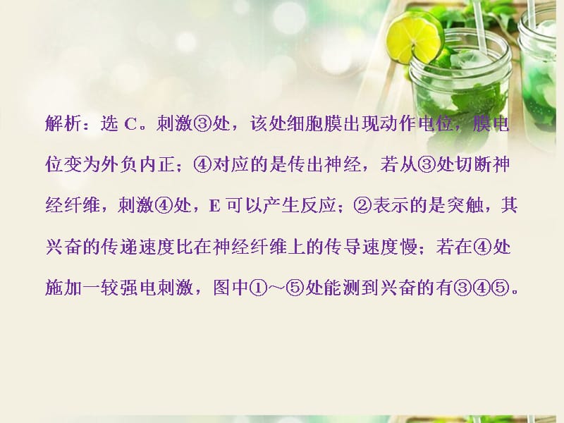 【优化方案】高考生物一轮复习 热点集训 专题五 神经调节课件 新人教版_第5页