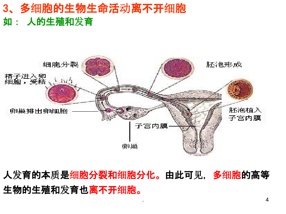 高一生物必修一第一节1ppt课件_第4页