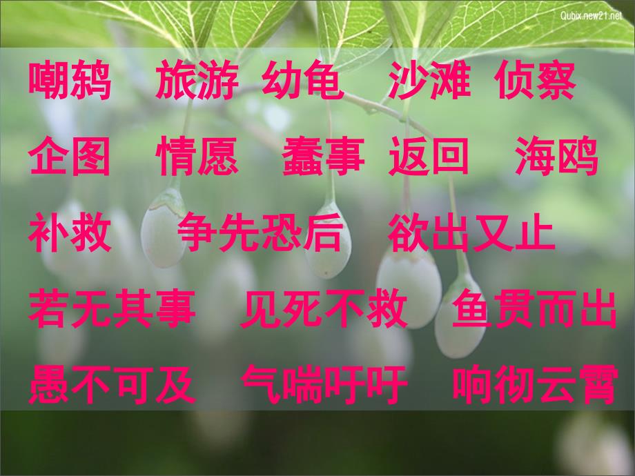 2019-自然之道(公开课)-文档资料课件_第2页