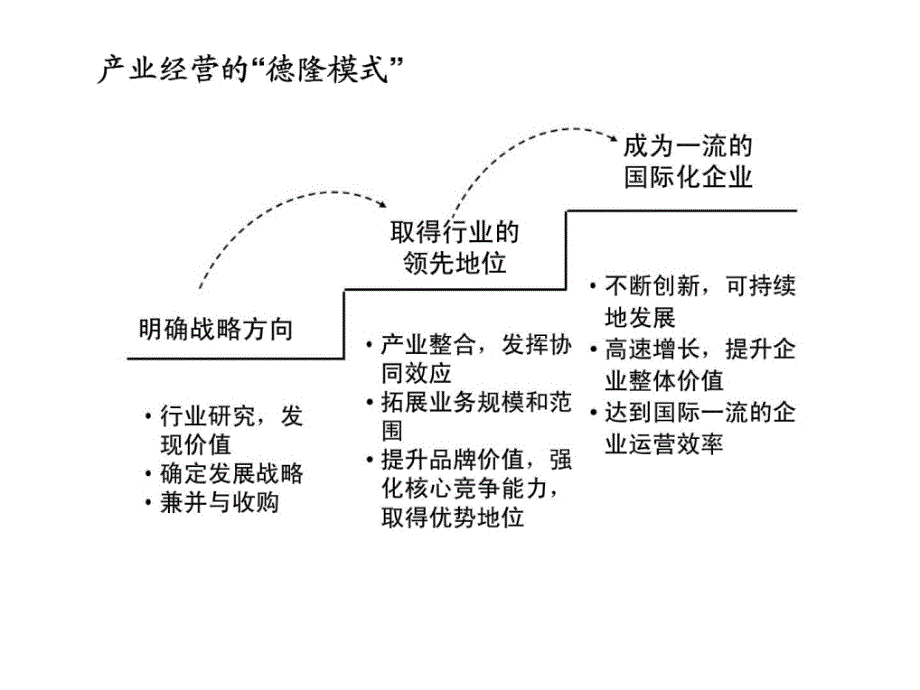 2019-德隆产业介绍40-文档资料课件_第4页