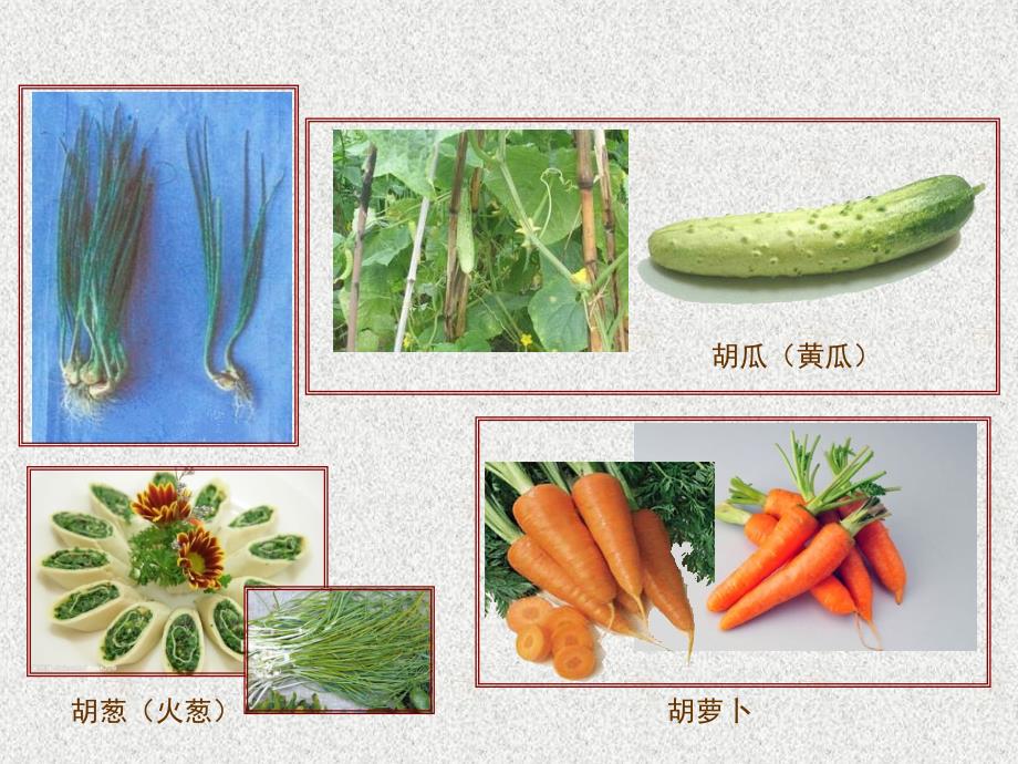 四川省江油市明镜中学七年级历史上册 第三学习主题 第12课 张骞通西域课件 川教版_第2页