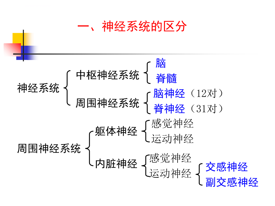 中枢神经系统PPT文档资料课件_第1页