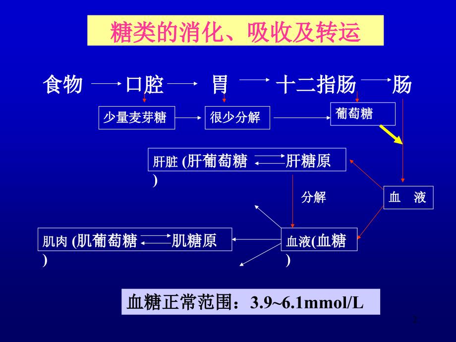 糖代谢-文档资料_第2页