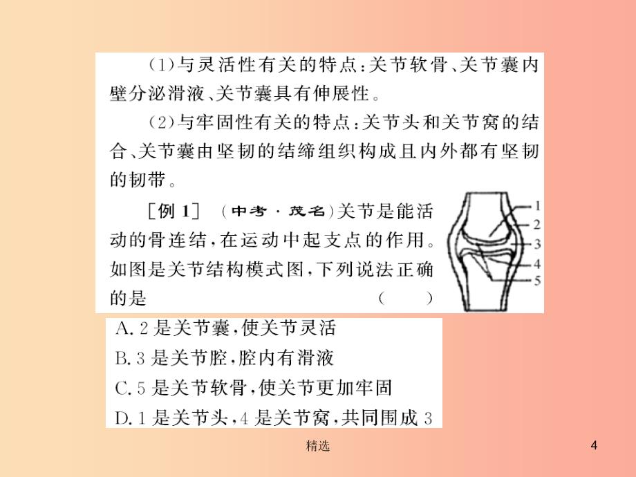 201X年八年级生物上册第五单元第2_3章自主复习习题课件 新人教版_第4页