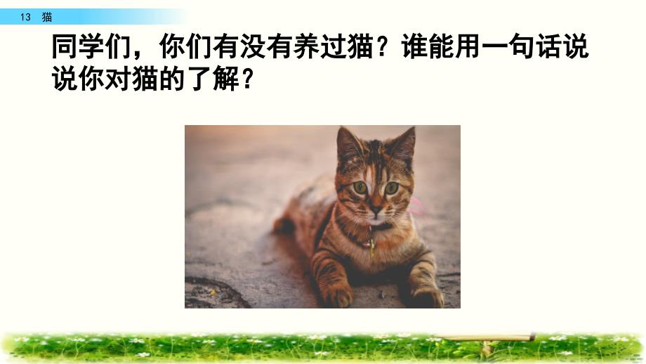 部编版四年级语文下册《 猫》 (共39张PPT)_第1页