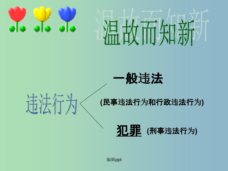 七年级政治下册 8.2 严守法律 粤教版_第3页