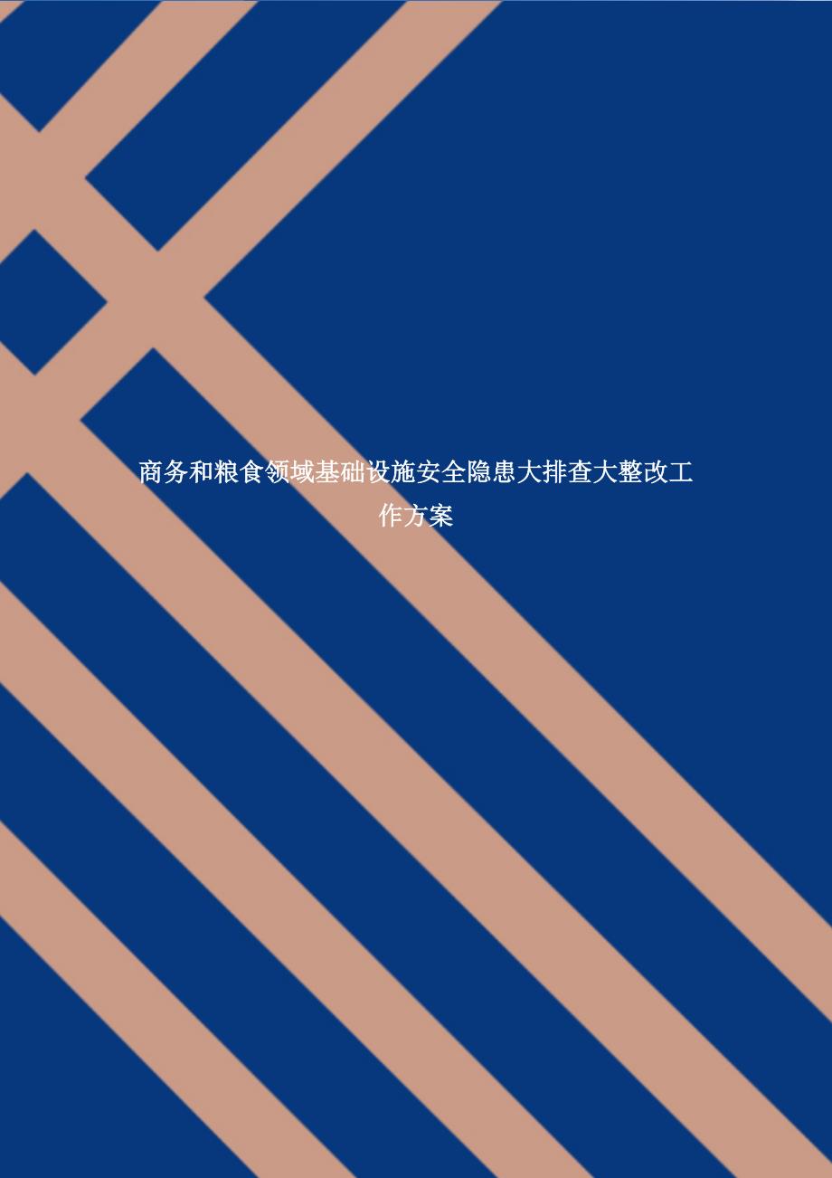 商务和粮食领域基础设施安全隐患大排查大整改工作方案【通用】_第1页