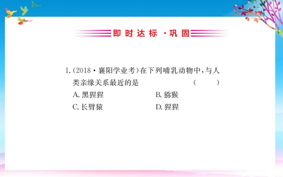 七年级生物下册4.1.1人的起源和发展习题课件新版新人教版 新编_第2页