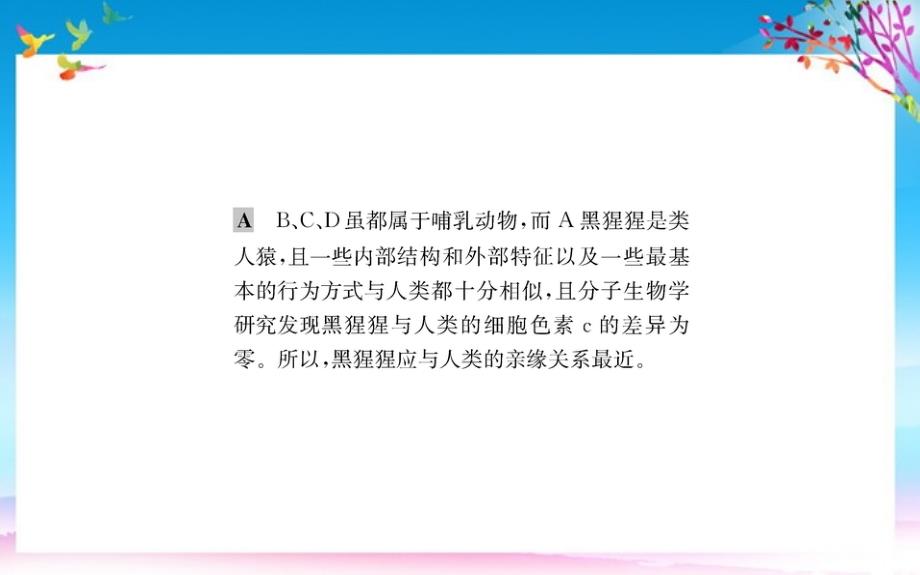 七年级生物下册4.1.1人的起源和发展习题课件新版新人教版 新编_第3页