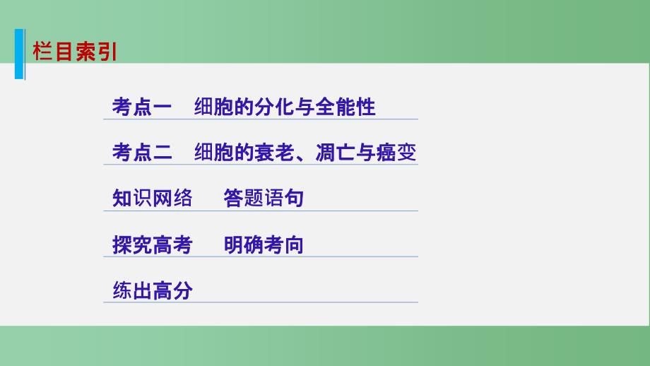 高考生物一轮复习 第四单元 细胞的生命历程 第15讲 细胞的分化、衰老、凋亡与癌变 新人教版_第2页