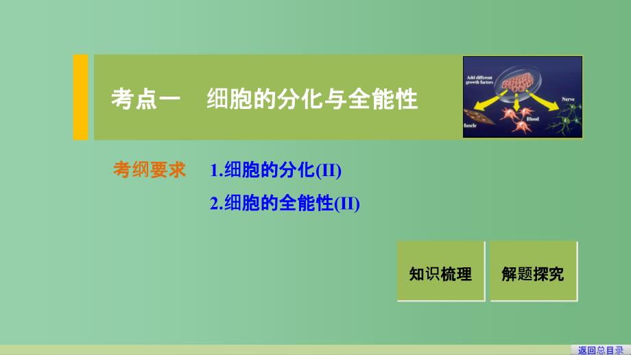 高考生物一轮复习 第四单元 细胞的生命历程 第15讲 细胞的分化、衰老、凋亡与癌变 新人教版_第3页