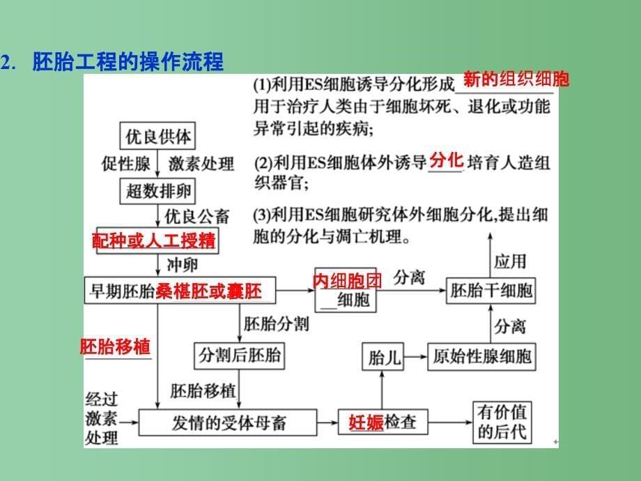 高考生物二轮复习 专题八 现代生物科技专题 第2讲 胚胎工程与生态工程_第5页