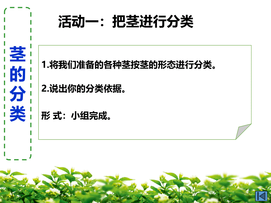 浙教版科学八年级下册 4.4 植物的茎与物质运输 课件_第3页