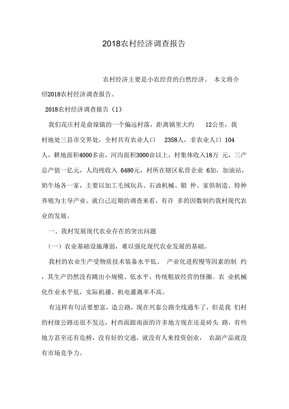 2018农村经济调查报告_第1页