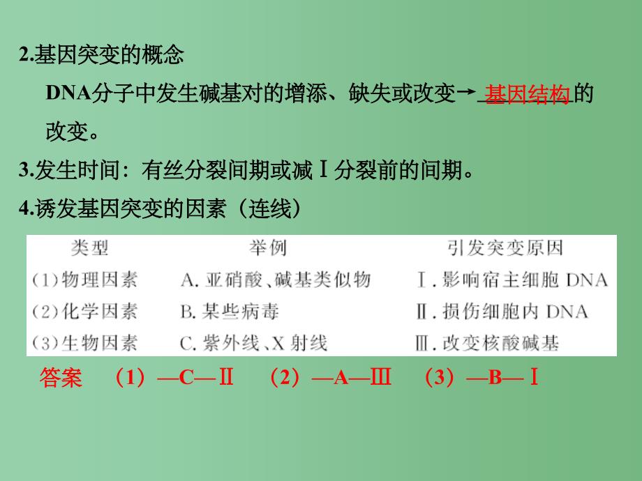 高考生物一轮复习 第7单元 生物的变异、育种与进化 第20讲 基因突变与基因重组 新人教版_第3页