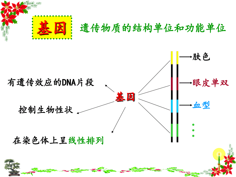 基因指导蛋白质的合成7_第4页