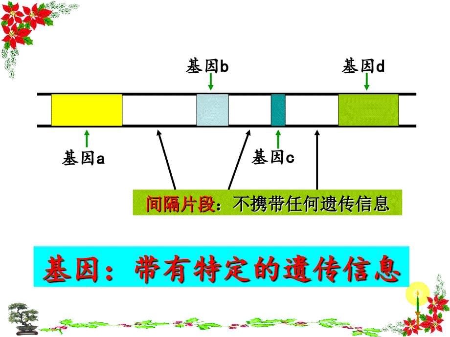 基因指导蛋白质的合成7_第5页