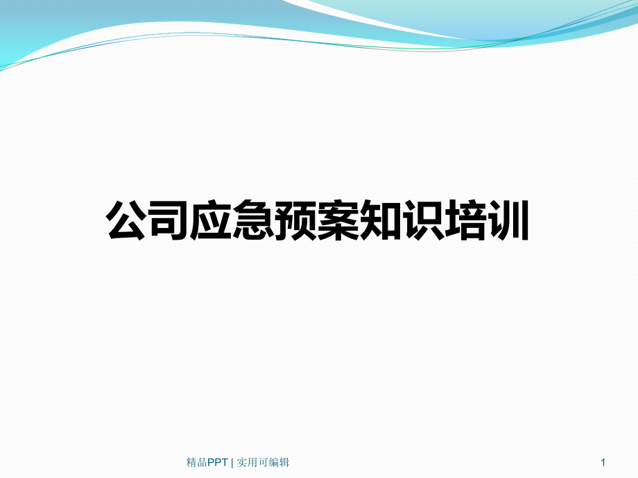 公司应急预案知识培训[宣贯]_第1页