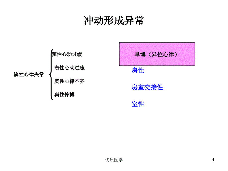 心律失常课件正稿（清晰详实）_第4页