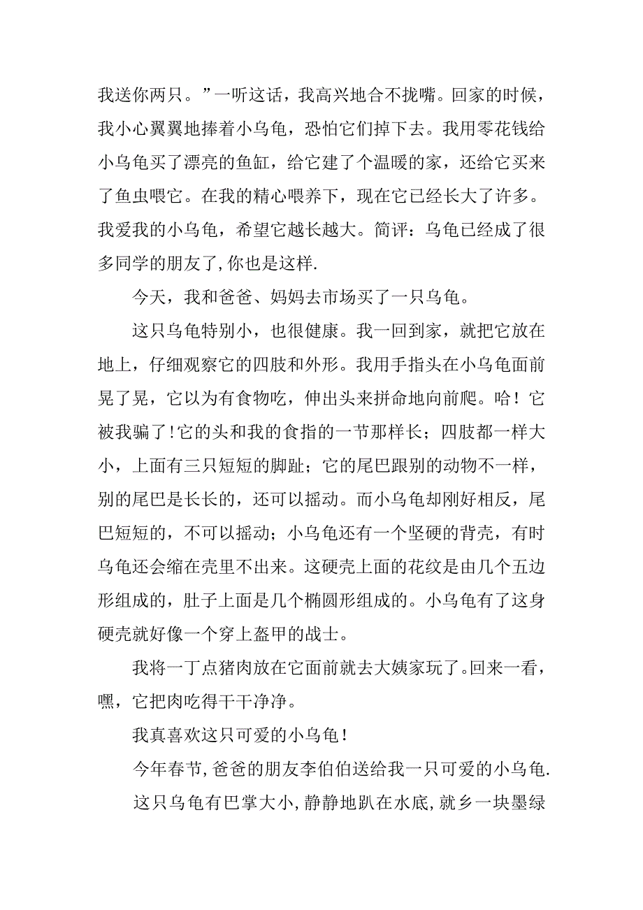 小乌龟作文_第4页