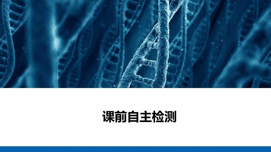 2021新高考生物选择性考试B方案复习课件-第5单元-第18讲-人类遗传病_第5页