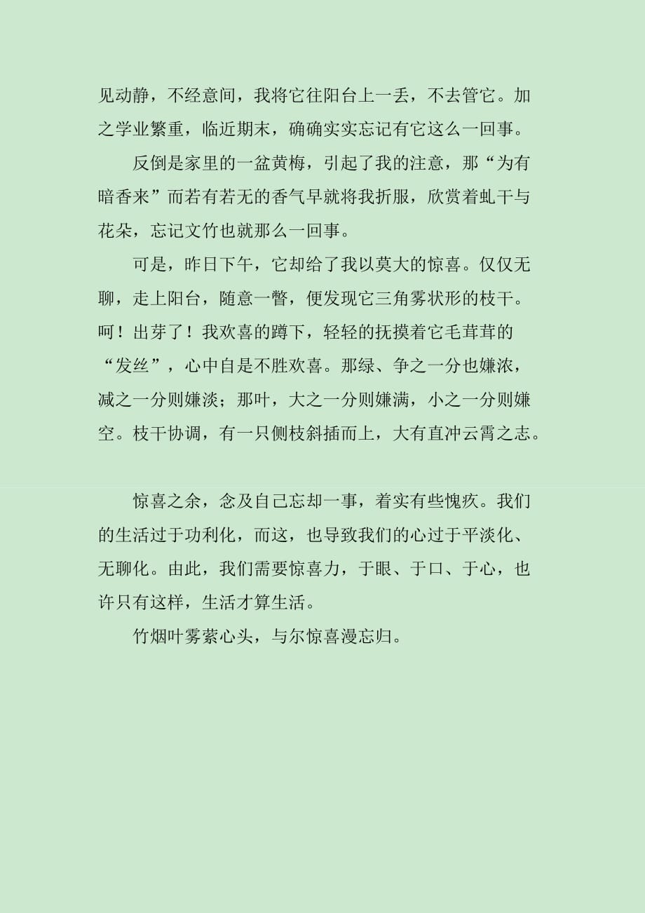 惊喜力作文700字_第2页