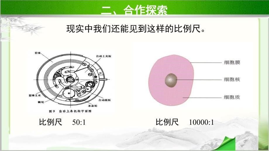 《比例尺的分类》示范公开课教学课件【青岛版小学六年级数学下册】_第5页