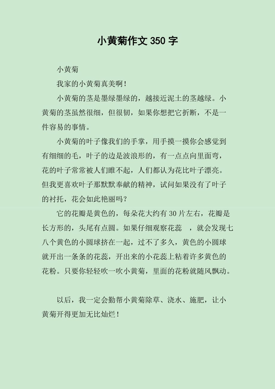 小黄菊作文350字_第1页