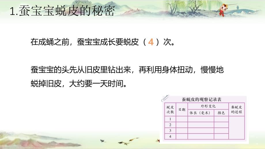 【同课异构 三下科学】蚕的生长变化_第4页