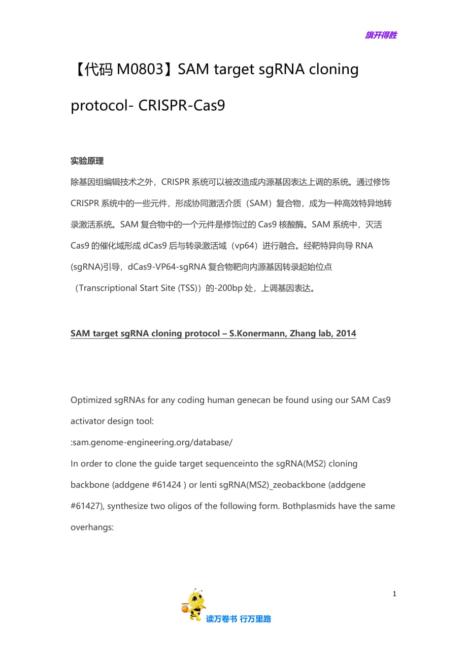 【代码M0803】SAM target sgRNA cloning protocol- CRISPR-Cas9_第1页