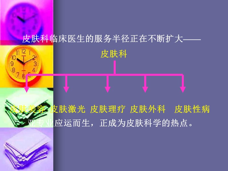 皮肤的结构与功能课件PPT12_第3页