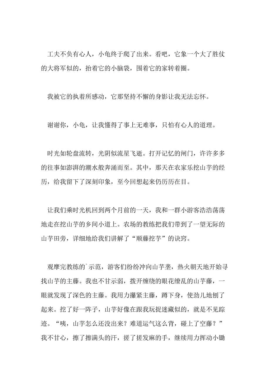 一件难忘的事五年级叙事作文_第3页