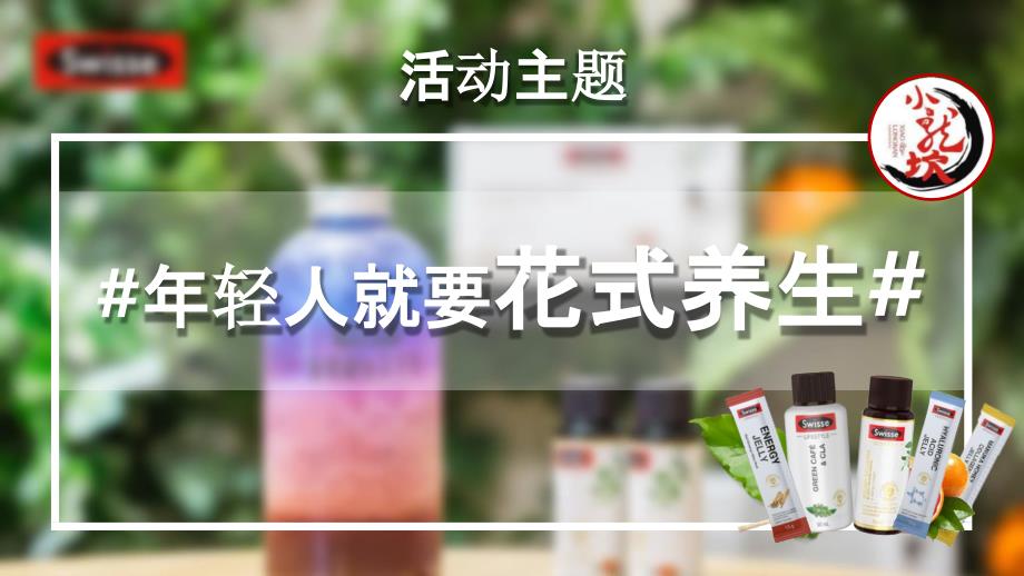 2019swisseX小龙坎超品日策划方案_第3页