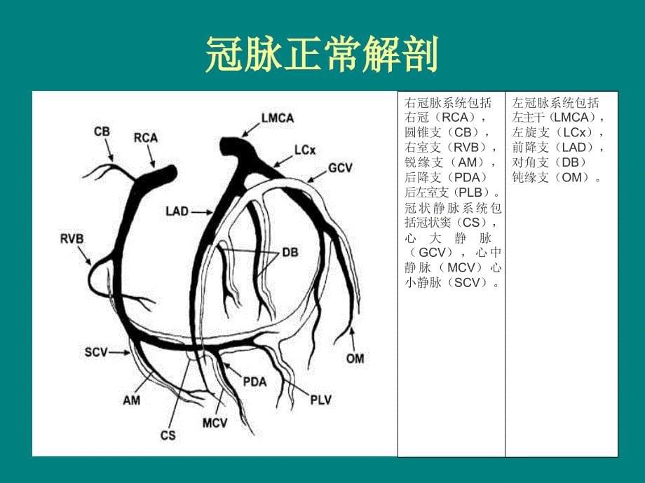 冠状动脉先天异常教学课件_第5页