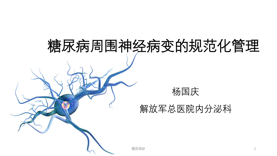 糖尿病周围神经病变的规范化管理（专业借鉴）_第1页