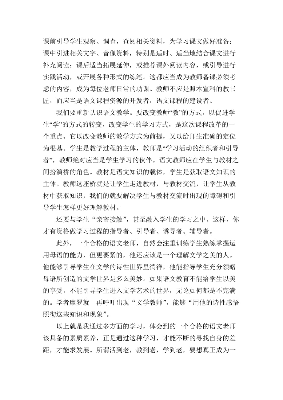 做一个合格的语文老师应该知道_第3页